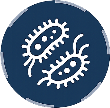 Bacteria